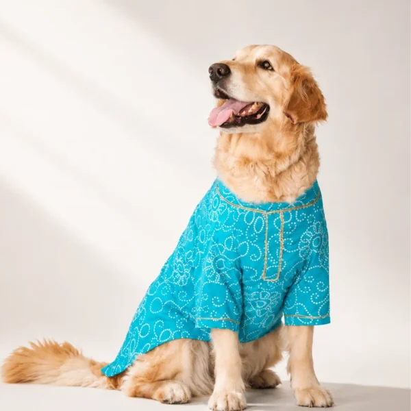 Bandhani - Blue Dog kurta