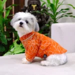 Side view of a dog wearing an orange cotton dog kurta with a festive print