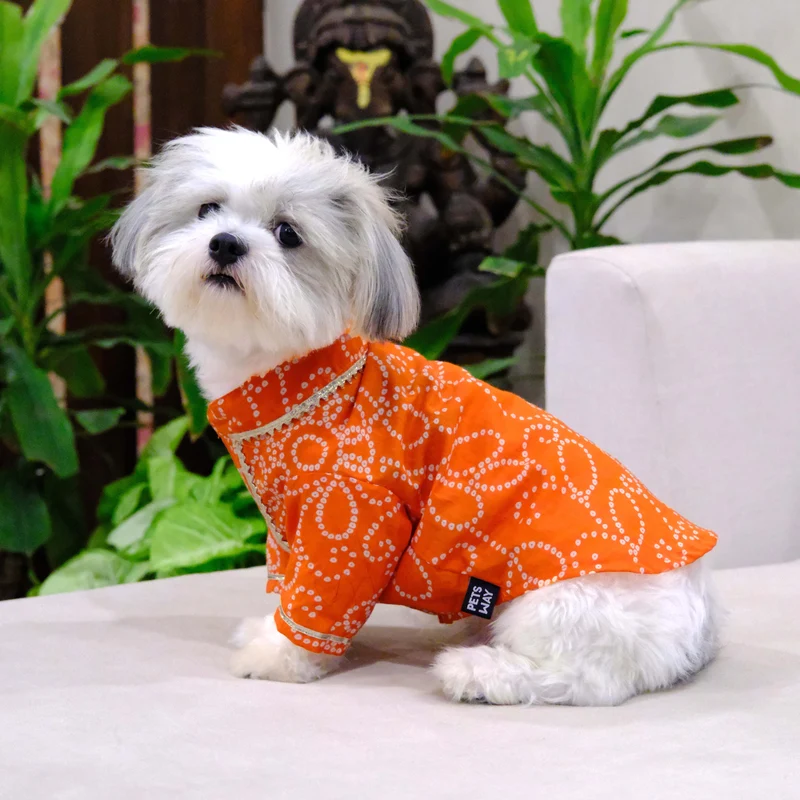 Side view of a dog wearing an orange cotton dog kurta with a festive print