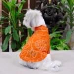 Back view of a dog wearing an orange cotton dog kurta with festive print