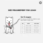 dog leash size measurement chart