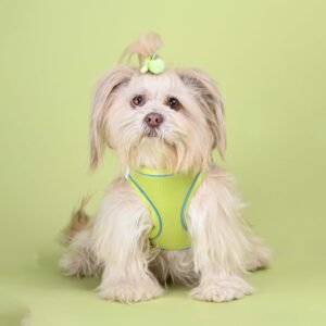 Neon Cloud Fit Harness