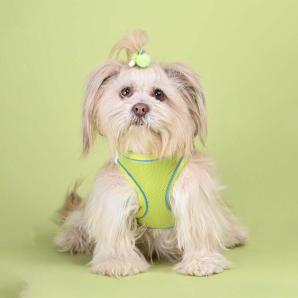 Neon Cloud Fit Harness