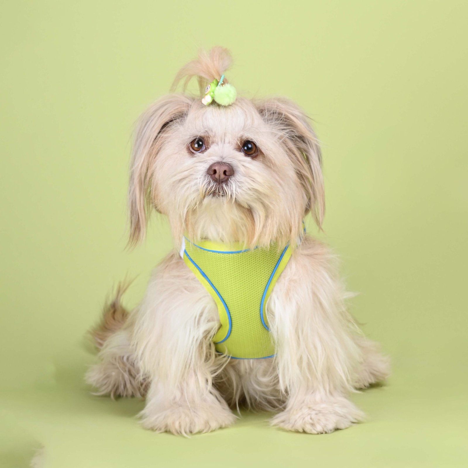 Neon Cloud Fit Front Neon Cloud Fit Harness - Image 1