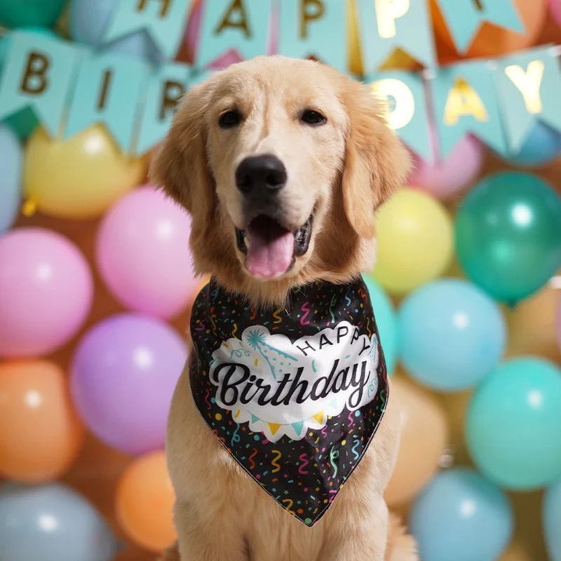 printed black satin dog bandana close-up on golden retriever