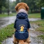 navy hooded dog raincoat lifestyle outdoor walk